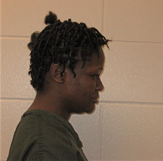 JOHNSON, ERICKA, Winnebago County  IL