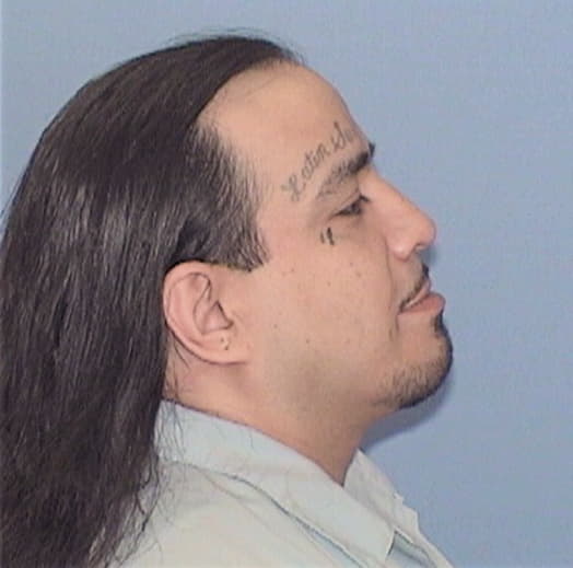 FLORES, ERNESTO, Cook County  IL
