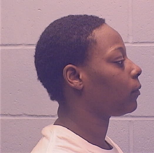 HAMLER, LAKRISHA D., Peoria County  IL