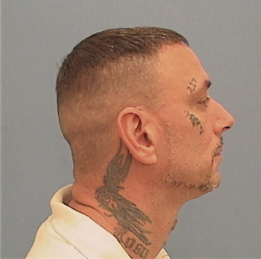 ROBBINS, STEPHEN R., Vermilion County  IL