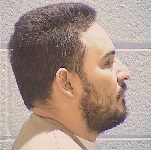 GUICHO-AREAS, ANGEL, Kane County  IL