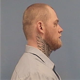 MEIER, REESE L., Jersey County  IL