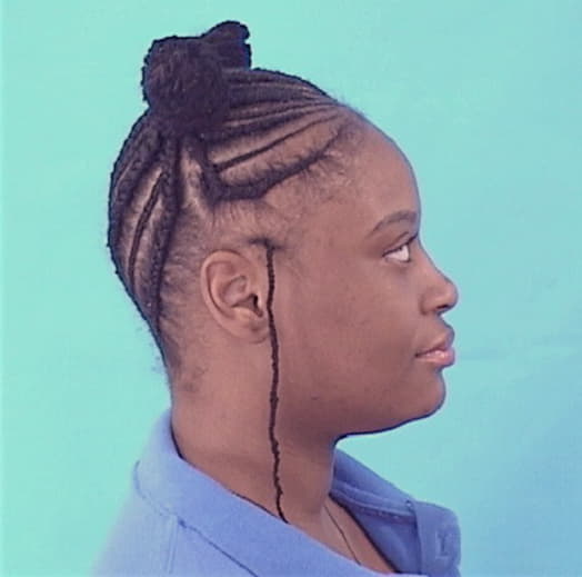 COLEMAN, DIONNA, Cook County  IL