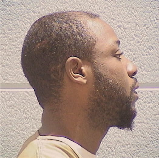MCNEALY, TERRELL, Cook County  IL