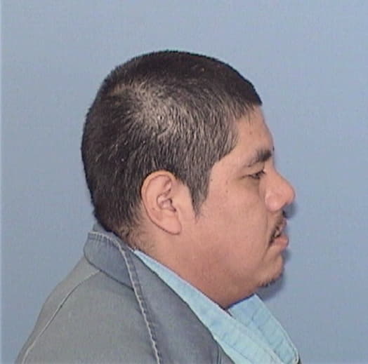 TEPEL NIEVES, OSCAR, Cook County  IL