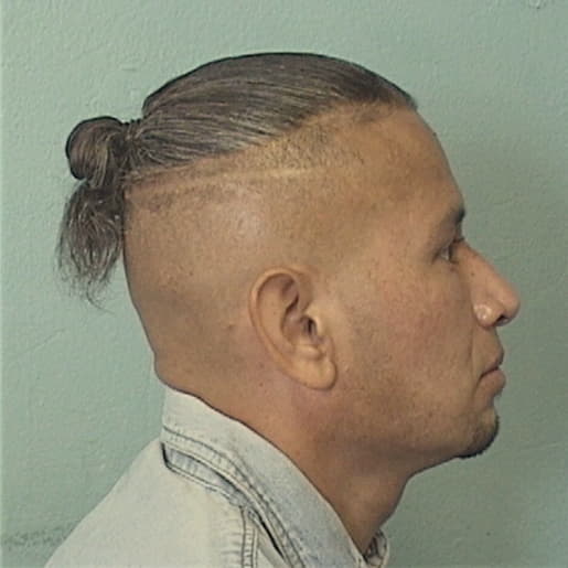CHAVEZ, RAMIRO, Cook County  IL