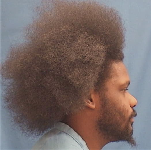 EVANS, DENNIS, Cook County  IL