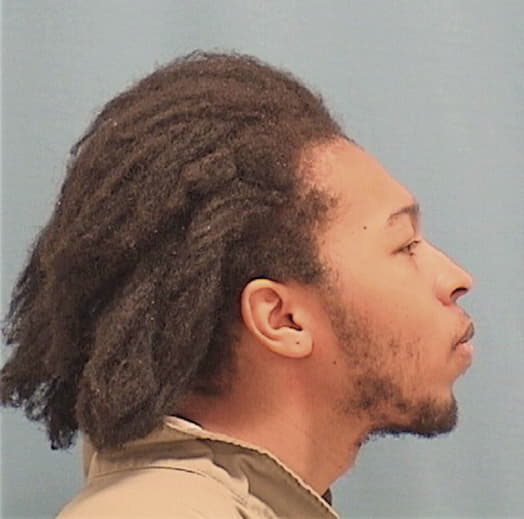 WHITE, MICHAEL S., Lake County  IL