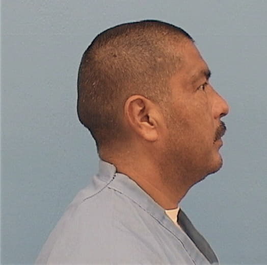 BALDERAS, MARTIN, Kane County  IL