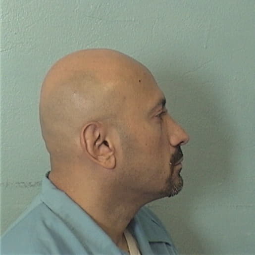 DORADO, RAUL, Cook County  IL