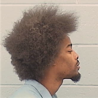 JOHNSON, DERRIEN, Cook County  IL
