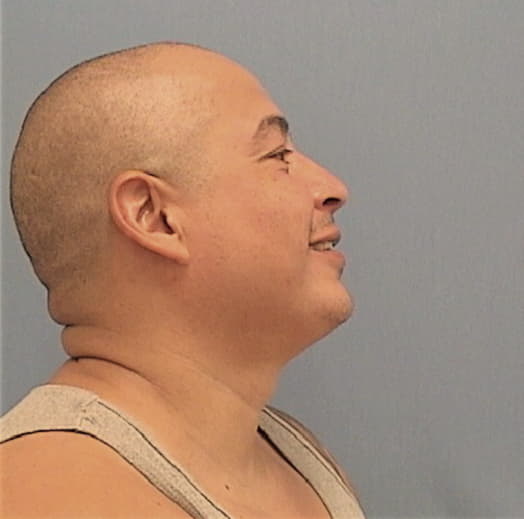ALMAZAN, GABRIEL, Cook County  IL