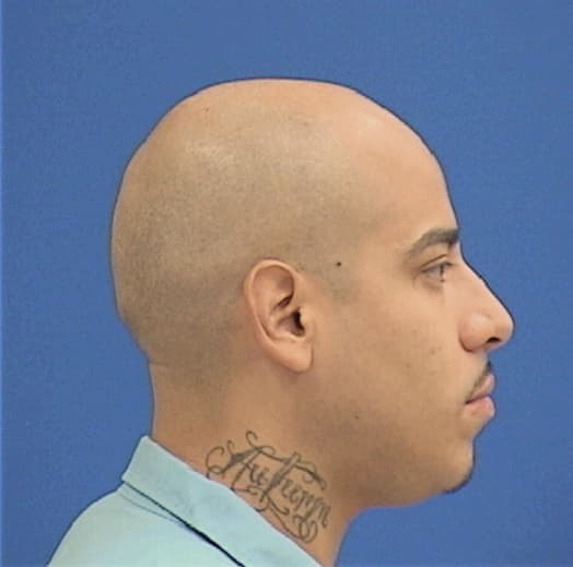 BERRUM, CARLOS C., Kane County  IL
