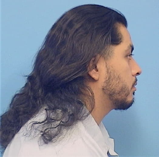 ORTEGA, ROBERTO, Cook County  IL