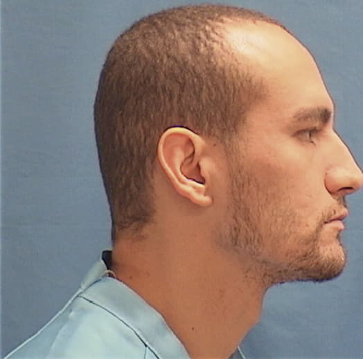 PEREZ-GONZALEZ, RAUL, Kane County  IL