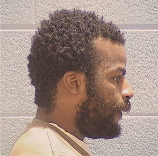 THOMPSON, RAVON, Cook County  IL
