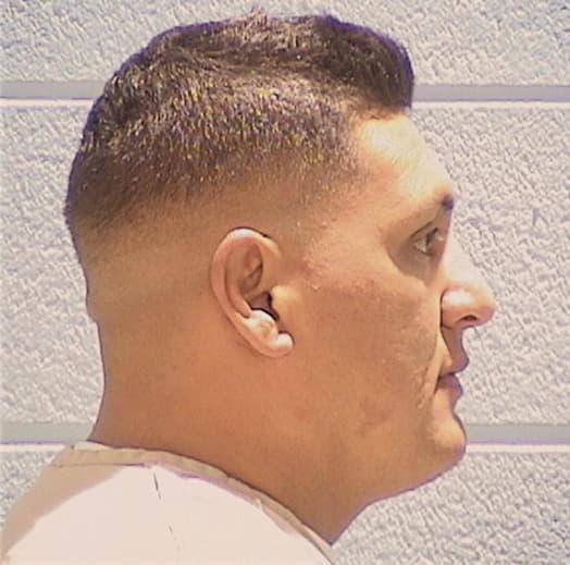 SEGURA, ARTURO, Cook County  IL