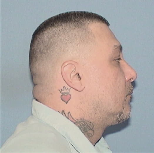 WISNAUSKI, TIMOTHY E., DuPage County  IL