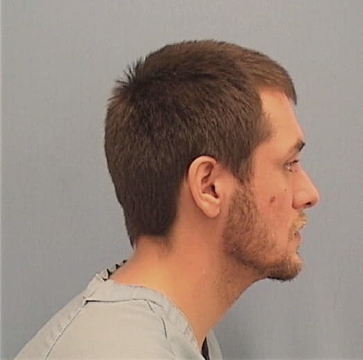 WILLIAMS, PATRICK A., Coles County  IL