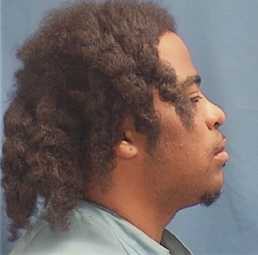 JEMISON, FRANK, Cook County  IL