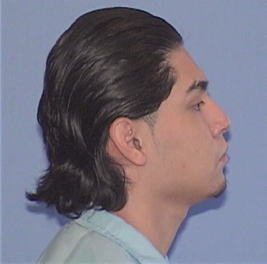 JULIO-GUMMESINDO, ERICSSON, McHenry County  IL