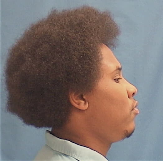 WILLIAMS, JOVENDIA C., Knox County  IL