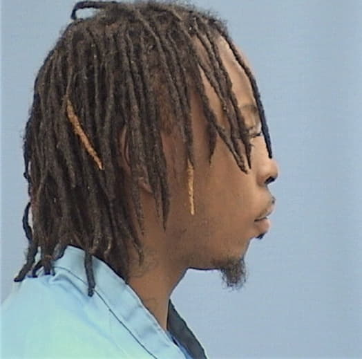 CHANDLER, DAMONE B., Livingston County  IL