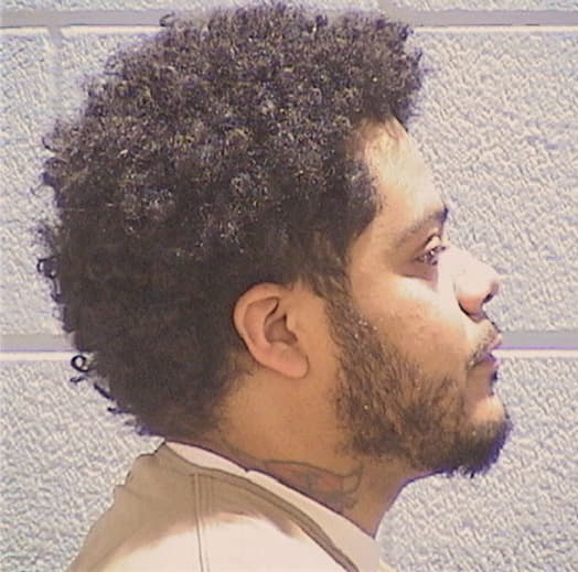 FLORES, DARRIS, DeKalb County  IL