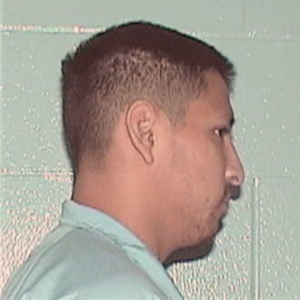 HERNANDEZ PEREZ, LUIS, Cook County  IL