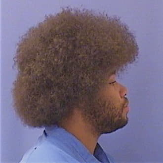 JOHNSON, TERRELL L., Lake County  IL