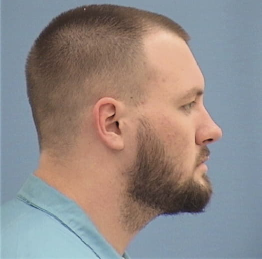 EMMONS, WILLIAM J., Saline County  IL