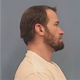 THEBEAU, JOSHUA P., Madison County  IL