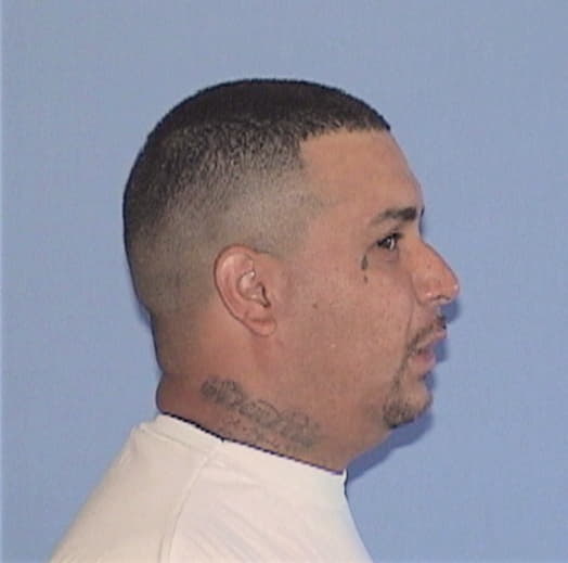 MELECIO, GUSTAVO, Cook County  IL