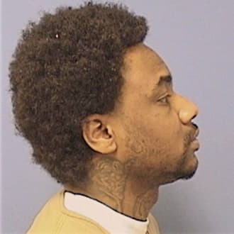 WHITE, LEJON M., Will County  IL