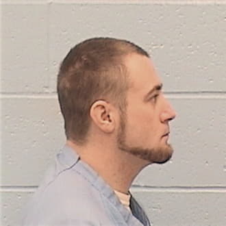 HARMS, CHAD A., Henry County  IL