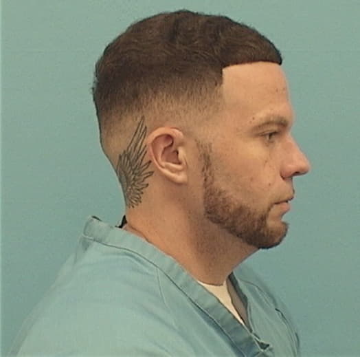 LANE, MICHAEL S., Macon County  IL