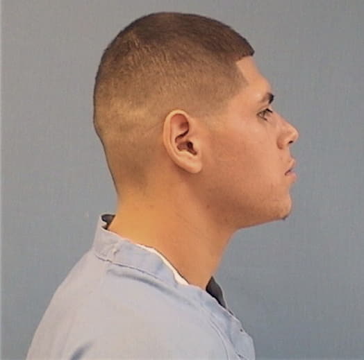 GUARDADO, LUIS, Cook County  IL