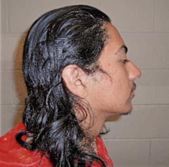 HERNANDEZ, JAMES, Cook County  IL