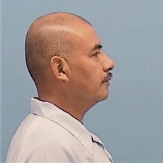 VIDIGARAY, ALFREDO, Kane County  IL