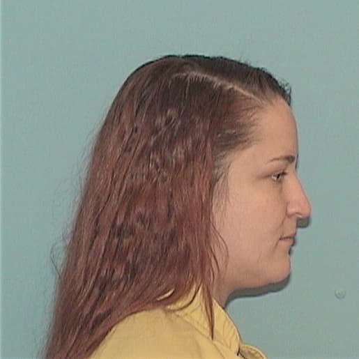 NEWINGHAM, SHAWNEE, Schuyler County  IL