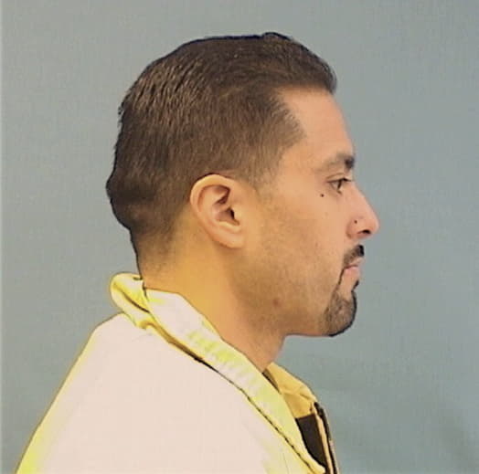 DEJESUS, DAVID, Cook County  IL