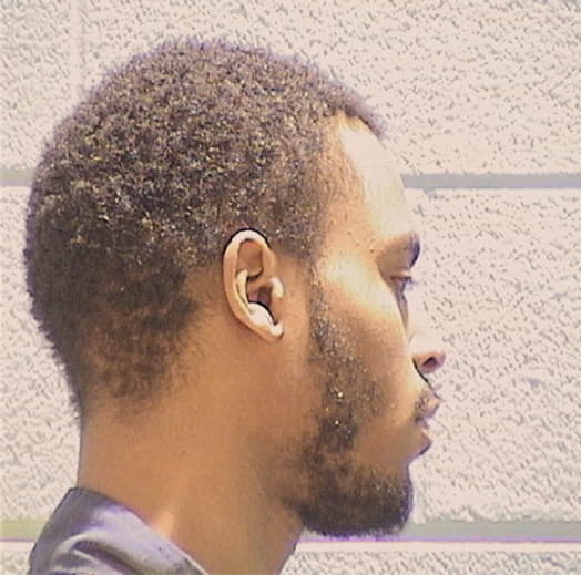 FEEMSTER, MCONSCONIE M., Cook County  IL