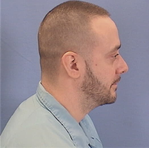 GIBSON, JOSEPH A., Livingston County  IL