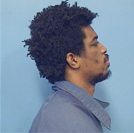 DILLARD, WILDON, Cook County  IL