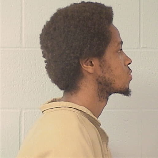 ARRINGTON, DELVIN L., Will County  IL