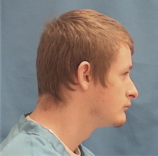 FAUST, CURTIS L., Macoupin County  IL