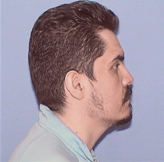 PEREZ-TORRES, JESUS, Kankakee County  IL
