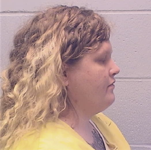 LONG, HEATHER L., DeWitt County  IL