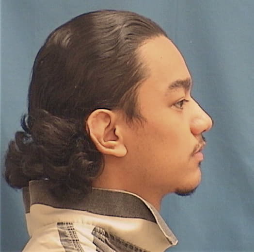 LONGORIA, ALFREDO, Cook County  IL
