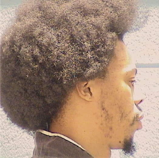 PIERCE, TERRENCE E., Will County  IL